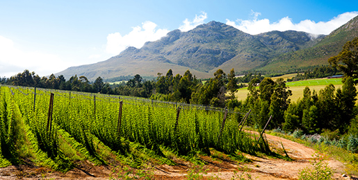 Camper verhuur George