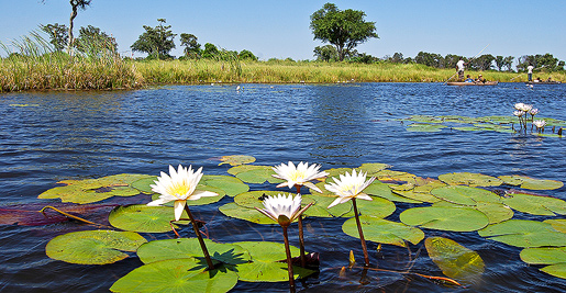 Camper verhuur Maun