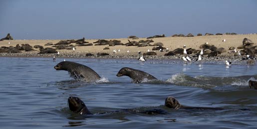Camper verhuur Walvis Bay